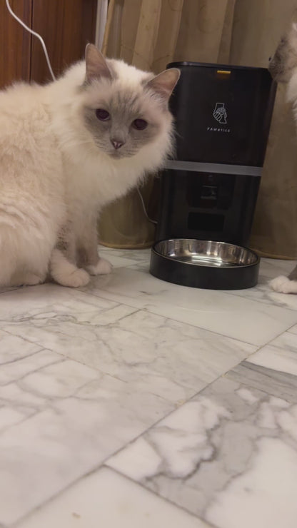 Pawetics Automatic Pet Feeder - Equipped with 5G Wifi, Interactive Audio and Night Vision Camera